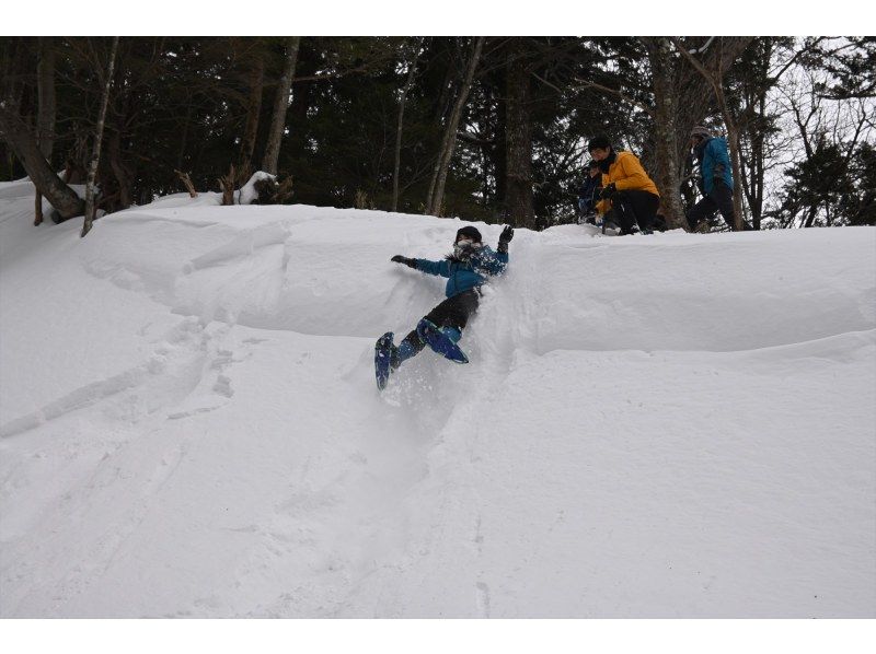 初心者・経験者どちらも歓迎！スノーシューで雪の森へ！2025【栃木・奥日光】 の紹介画像