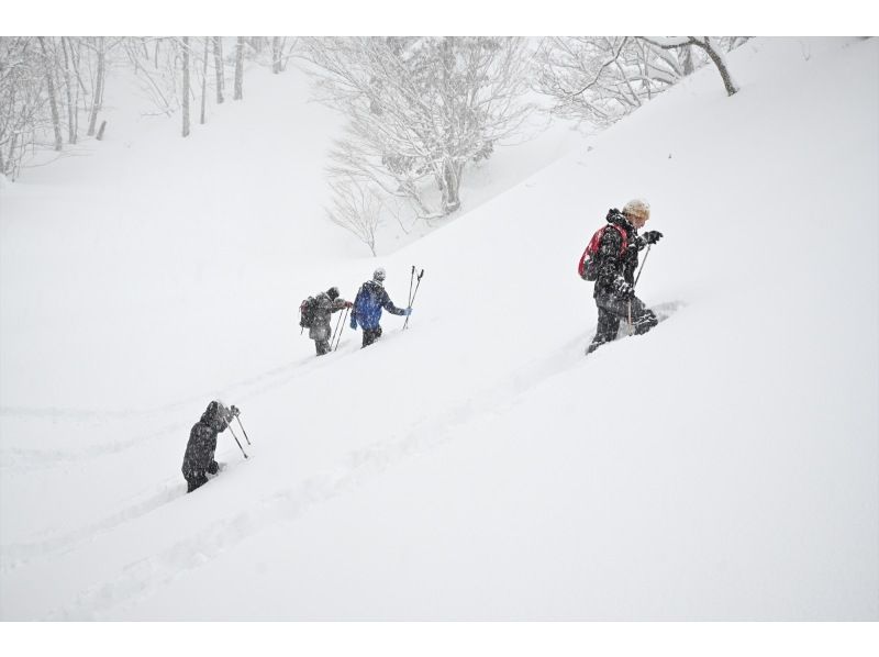 初心者・経験者どちらも歓迎！スノーシューで雪の森へ！2026【栃木・奥日光】 の紹介画像