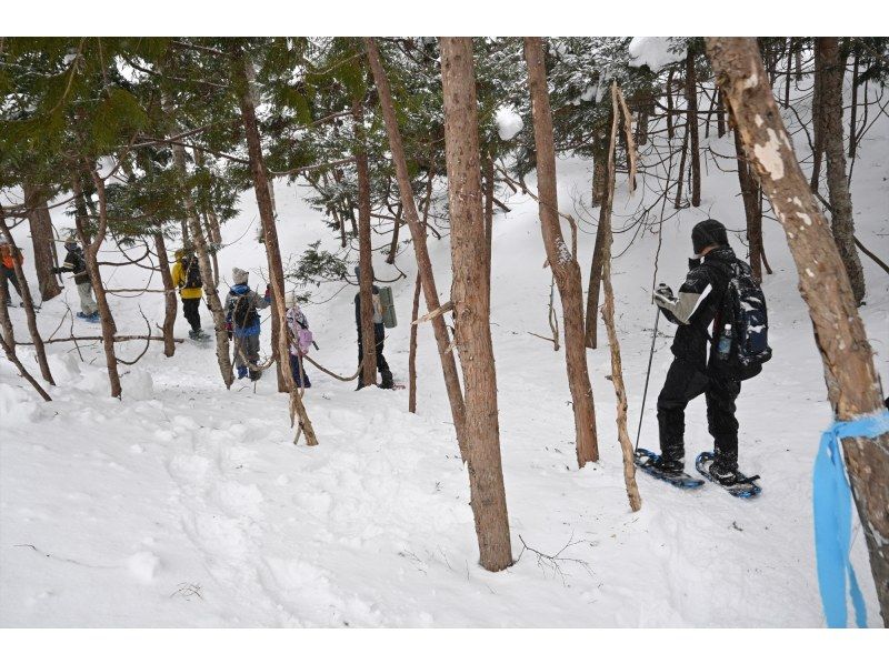 初心者・経験者どちらも歓迎！スノーシューで雪の森へ！2025【栃木・奥日光】 の紹介画像