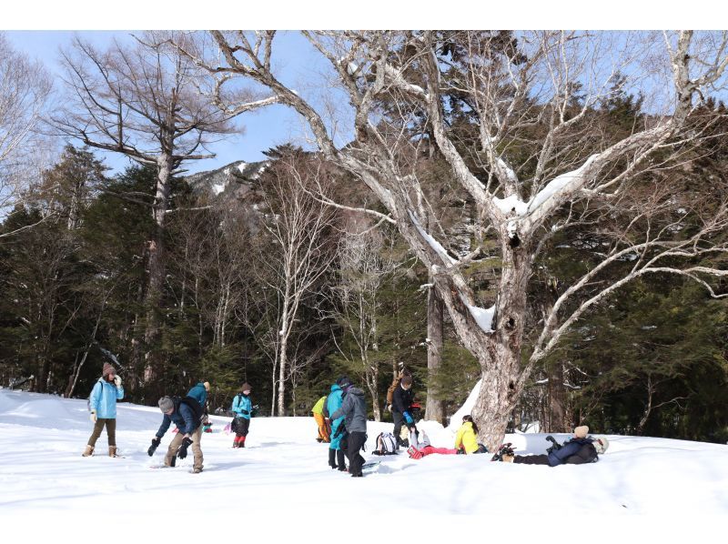 初心者・経験者どちらも歓迎！スノーシューで雪の森へ！2026【栃木・奥日光】 の紹介画像