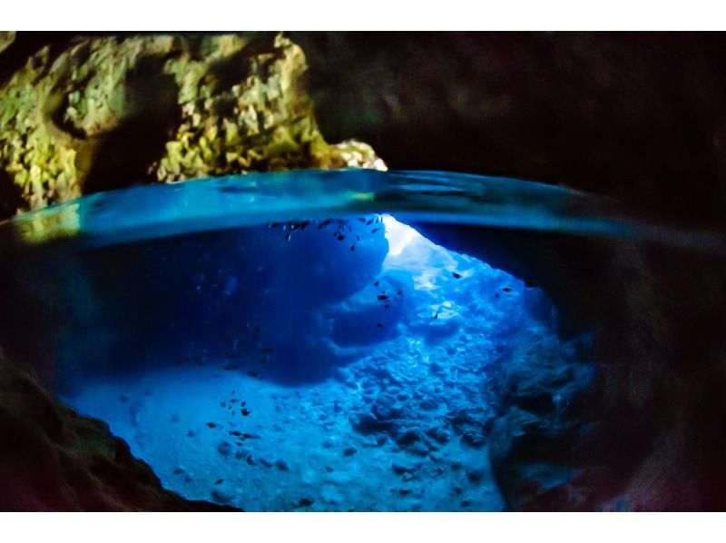 amusementworld＋の割引プラン