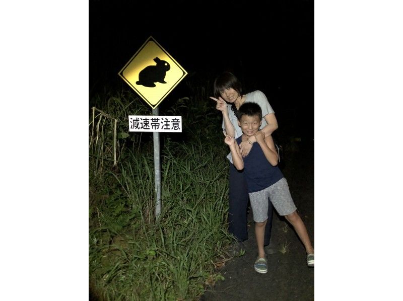 "Super Summer Sale 2024" [Pickup available from Amami Oshima and Naze area] Night Forest Tour - Over 90% chance of encountering special natural monument animals! ★Private tour available★の紹介画像