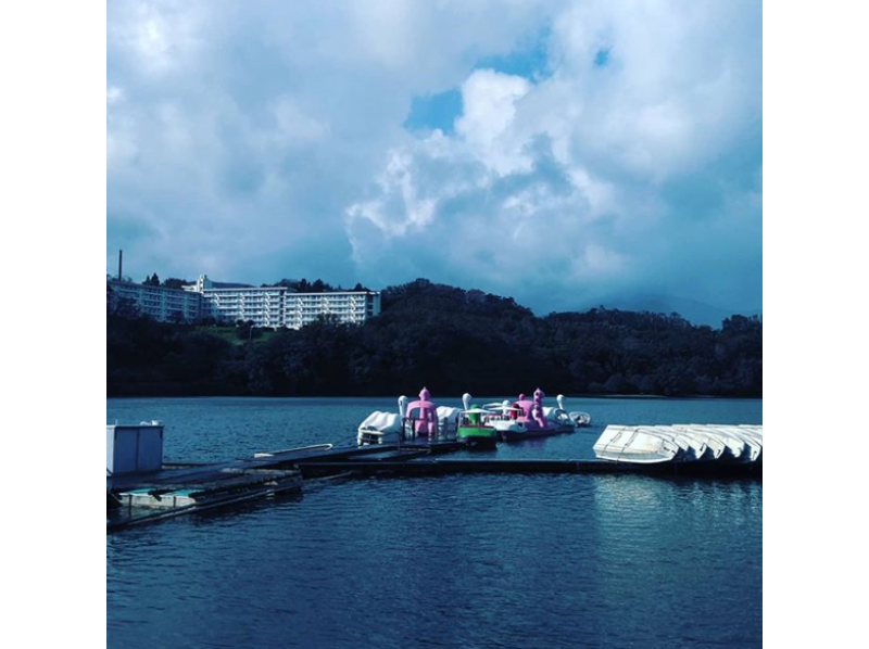 【静岡・伊東】一碧湖畔を眺めながらのんびり体験！ペダルボートレンタル（30分）の紹介画像