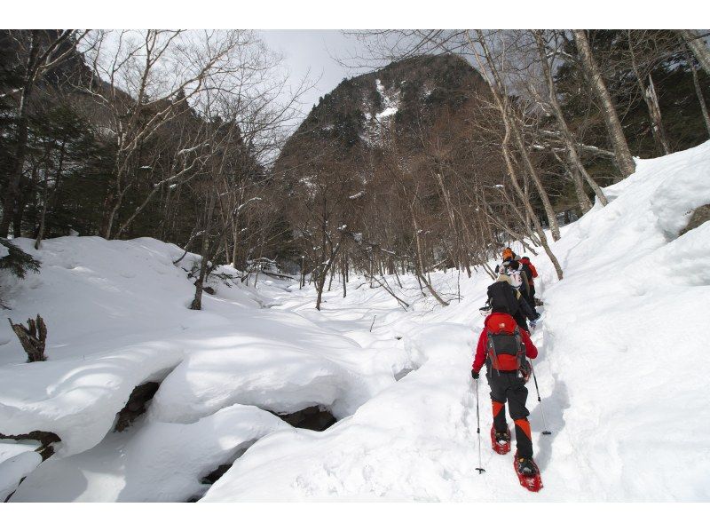 【栃木県・奥日光】ネイチャーガイドと行く絶景！庵滝・氷瀑トレッキング