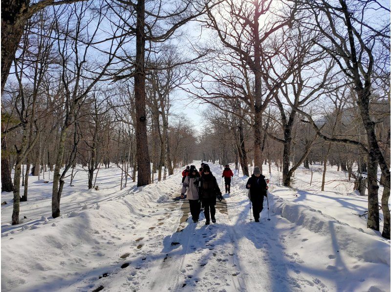 大好評！ネイチャーガイドと行く絶景！庵滝・氷瀑トレッキング【栃木県・奥日光】の紹介画像