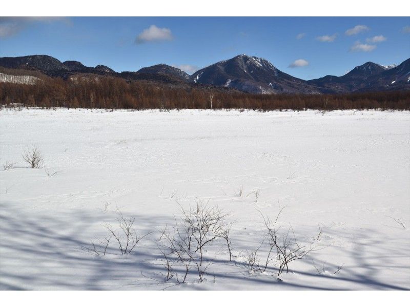 大好評！ネイチャーガイドと行く絶景！庵滝・氷瀑トレッキング【栃木県・奥日光】の紹介画像