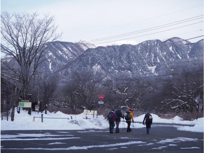 大好評！ネイチャーガイドと行く絶景！庵滝・氷瀑トレッキング【栃木県・奥日光】の紹介画像