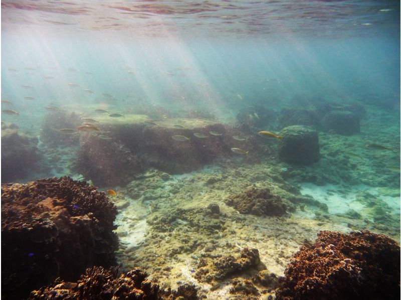 【5歳・2名様~早朝一組貸し切り 専用温水シャワー＆更衣室有】 那覇に近い南部糸満  通年早朝貸切2時間スノーケリングの紹介画像