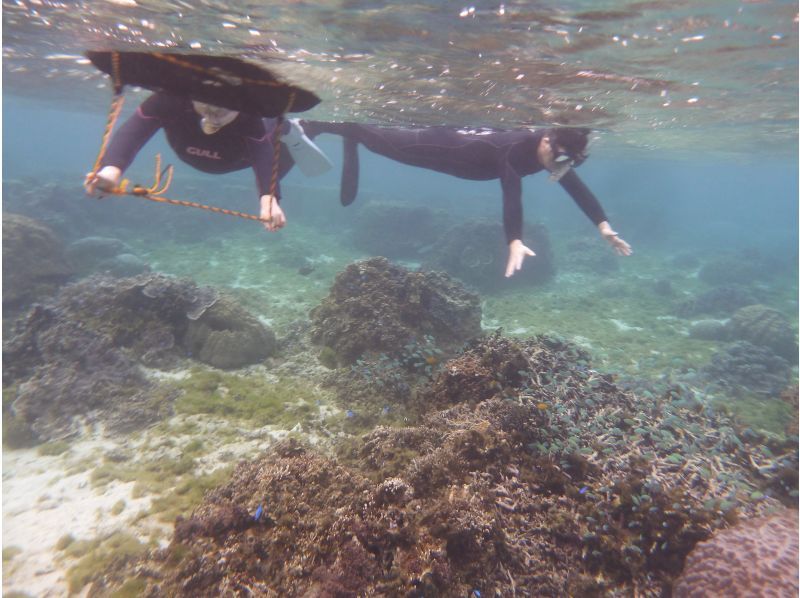 【6時半開始 5歳・2名様~ 一組貸し切り 専用温水シャワー＆更衣室有】 那覇に近い南部糸満  早朝貸切2時間スノーケリングの紹介画像