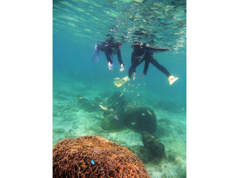 【6時半開始 5歳・2名様~ 一組貸し切り 専用温水シャワー＆更衣室有】 那覇に近い南部糸満  早朝貸切2時間スノーケリングの紹介画像