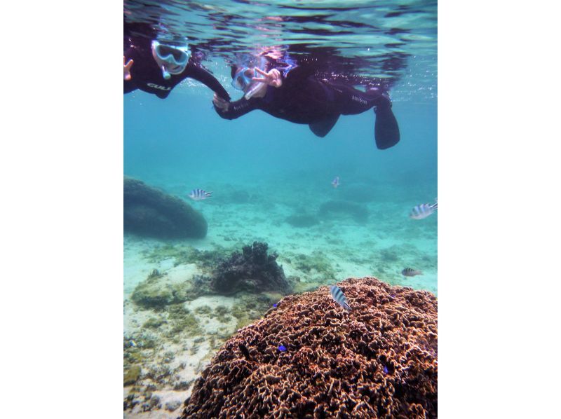 【5歳・2名様~早朝一組貸し切り 専用温水シャワー＆更衣室有】 那覇に近い南部糸満  通年早朝貸切2時間スノーケリングの紹介画像