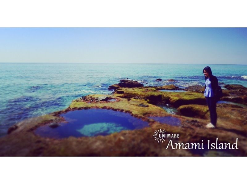 [Amami Oshima, North] "Breathtaking View Photo Tour" (private/half day or full day/group discount)の紹介画像