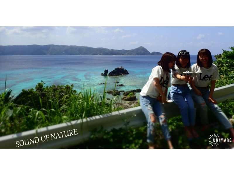 “自然に抱かれる奄美大島 | 癒しの絶景フォトリトリート”（半日/1日）の紹介画像