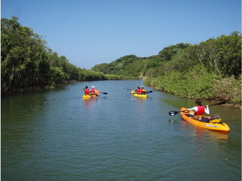 [Tanegashima ・ half-day] 1/2 Day Sea kayak Toursの紹介画像