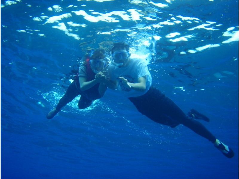 [Tanegashima ・ half-day] 1/2 Day Sea kayak Toursの紹介画像