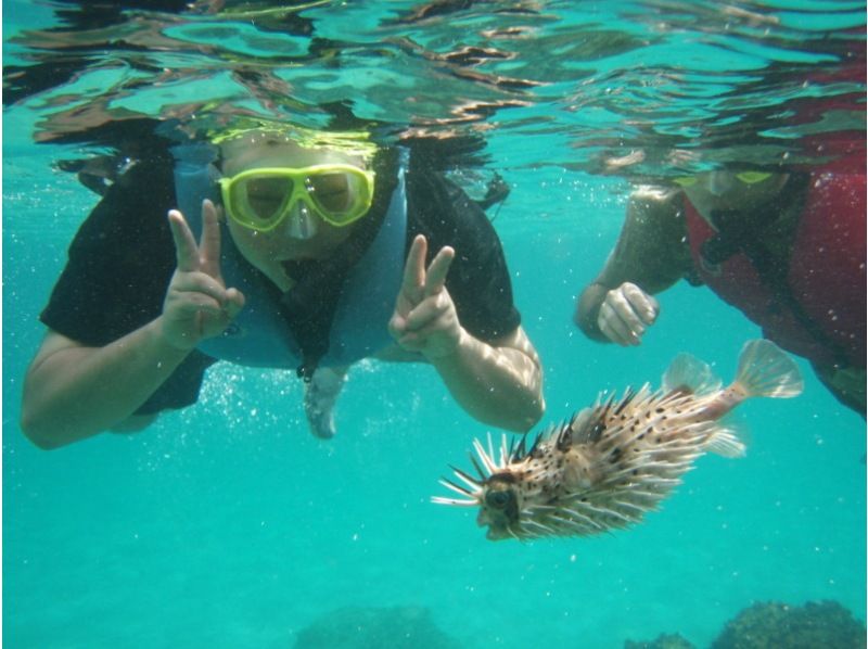 [Tanegashima ・ half-day] 1/2 Day Sea kayak Toursの紹介画像