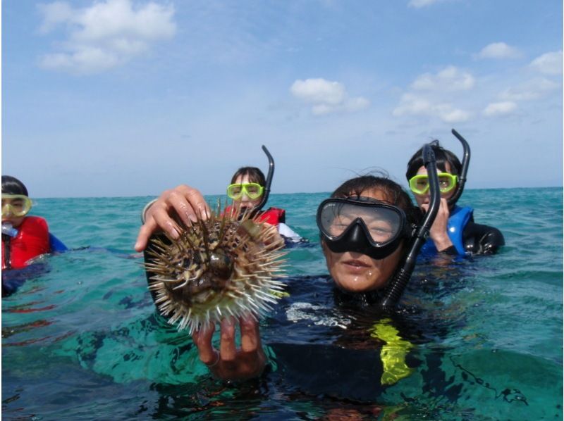 [Tanegashima ・ half-day] 1/2 Day Sea kayak Toursの紹介画像