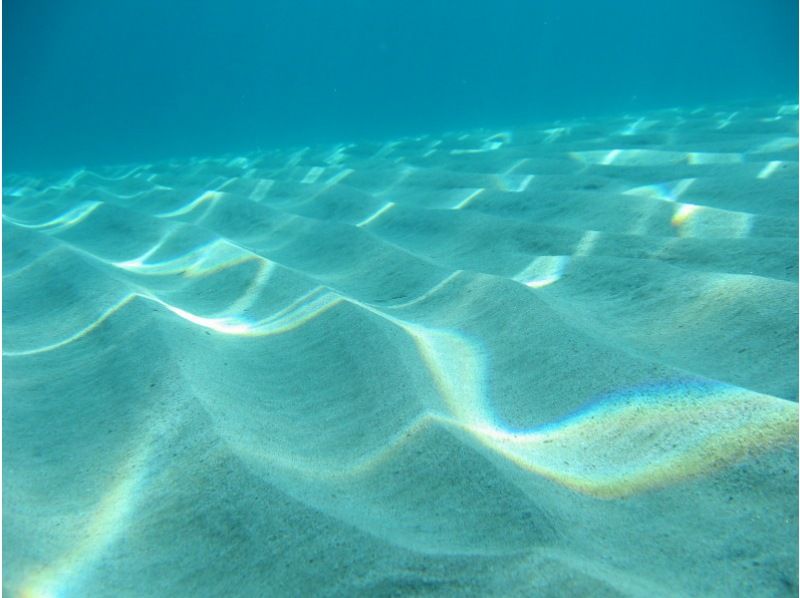 [Tanegashima ・ half-day] 1/2 Day Sea kayak Toursの紹介画像