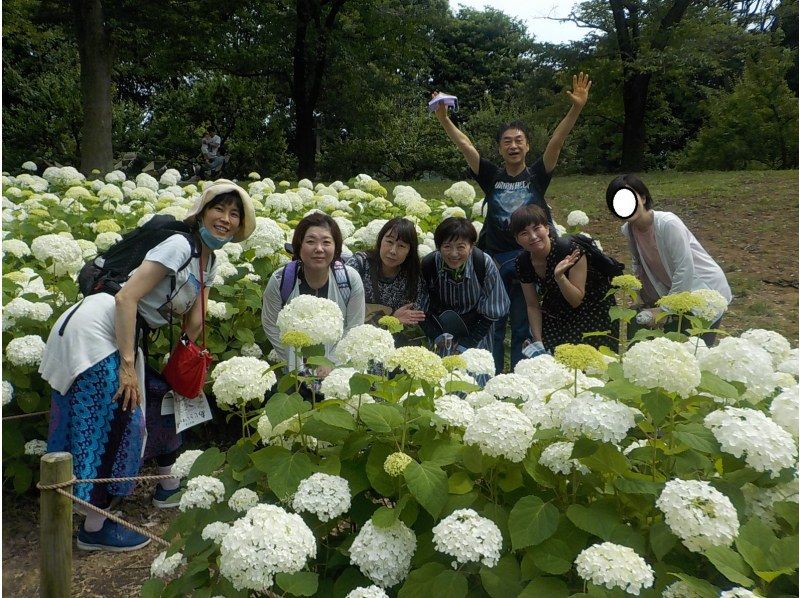 【東京・府中】6/21（日）開催！紫陽花ウォーク＆古民家ヨガ体験の紹介画像