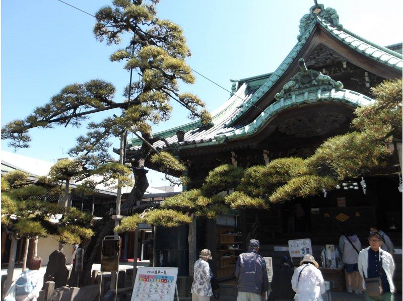 【東京・葛飾】2/15（日）開催！初心者歓迎・柴又街歩き＆ヨガ・お抹茶カフェタイムの紹介画像