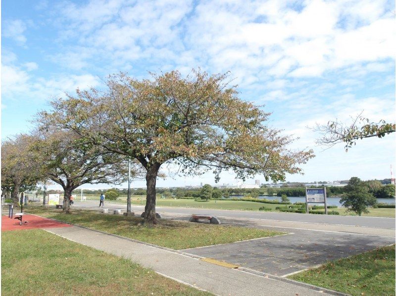 【東京・葛飾】2/15（日）開催！初心者歓迎・柴又街歩き＆ヨガ・お抹茶カフェタイムの紹介画像