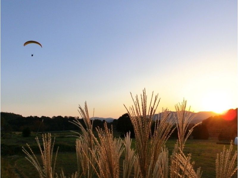 Kyoto Kameoka Paragliding School Recommended Tandem Plans Tandem Flight Autumn Japanese Pampas Grass