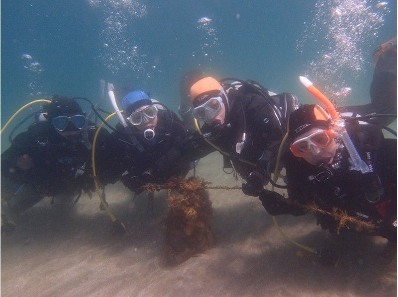 NAUI　OWライセンス取得コース！の紹介画像