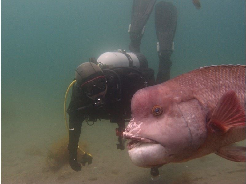 NAUI　OWライセンス取得コース！の紹介画像