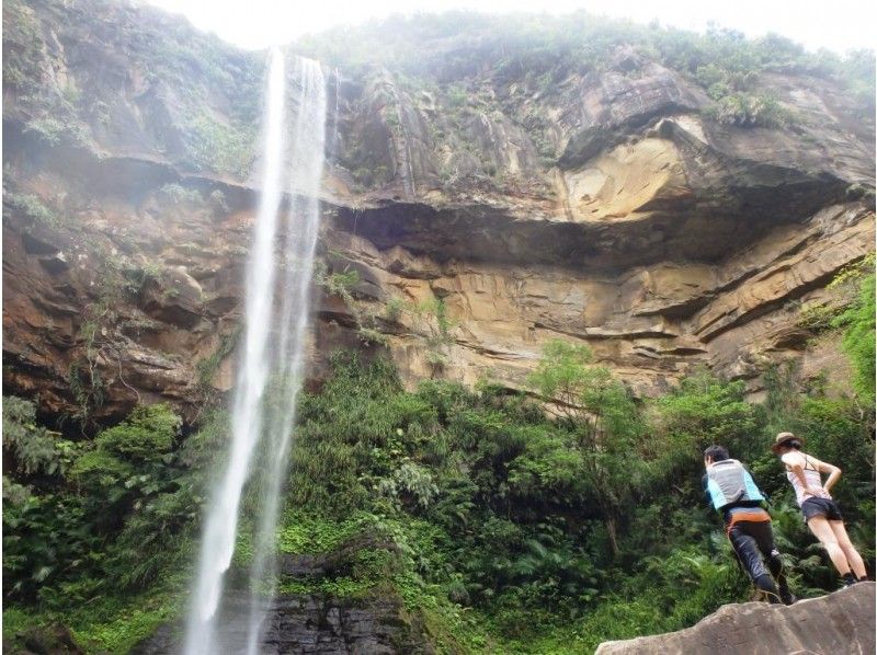 [Okinawa Iriomote Island] Capacity 7 people, small group tour ☆ Popular No. 1. Pinaisara Falls Half-day PM Waterfall basin only Canoe & trekkingの紹介画像
