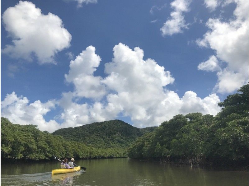 [冲绳西表岛] 可容纳 7 人，小团游 ☆ 人气第一。Pinaisara 瀑布 半日下午 仅限瀑布盆地 独木舟和徒步旅行の紹介画像