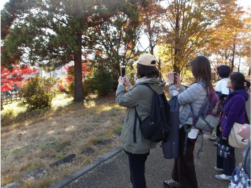 【東京・西武園】11/29（日）開催！紅葉ヨガ＆トトロの森ウォーキングの紹介画像