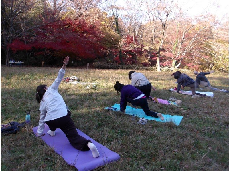 【東京・西武園】11/29（日）開催！紅葉ヨガ＆トトロの森ウォーキングの紹介画像