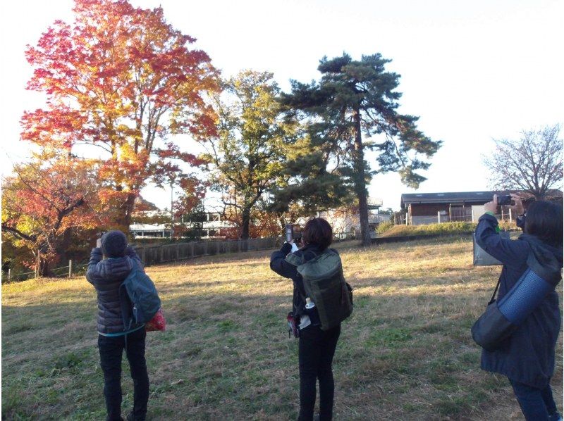 【東京・西武園】11/30（日）開催！紅葉ヨガ＆トトロの森ウォーキングの紹介画像