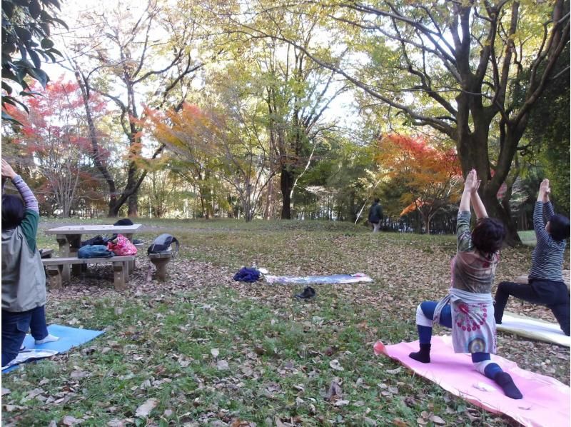 【東京・西武園】11/29（日）開催！紅葉ヨガ＆トトロの森ウォーキングの紹介画像