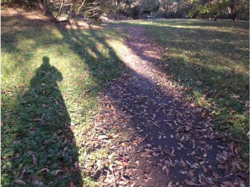 【東京・西武園】11/29（日）開催！紅葉ヨガ＆トトロの森ウォーキングの紹介画像