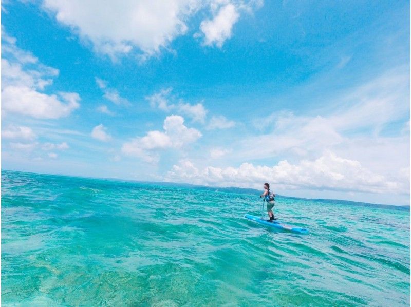 【沖縄・古宇利島・SUP】安心の1グループ毎の貸切で体験！新感覚サップを体験！ペダルサップ レンタル60分♪の紹介画像