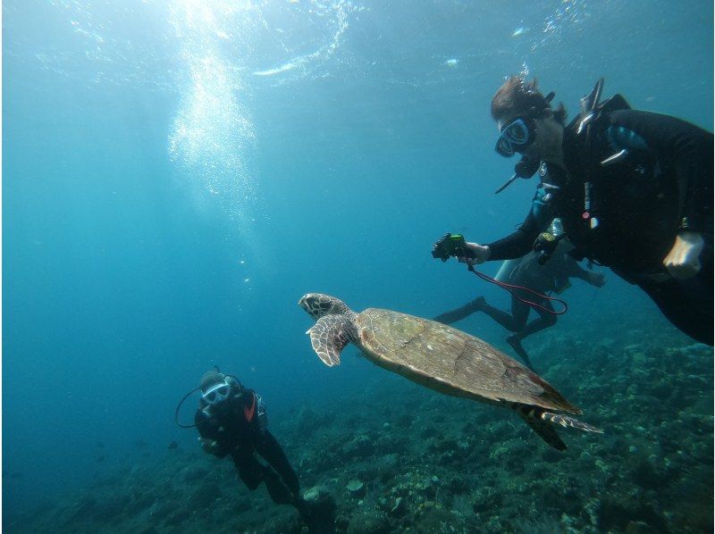【無料送迎！土、日曜日/超お得！リゾートでダイビングを楽しみたい方】オープンウオーターダイバー＆アドバンスダイバーセットプランの紹介画像