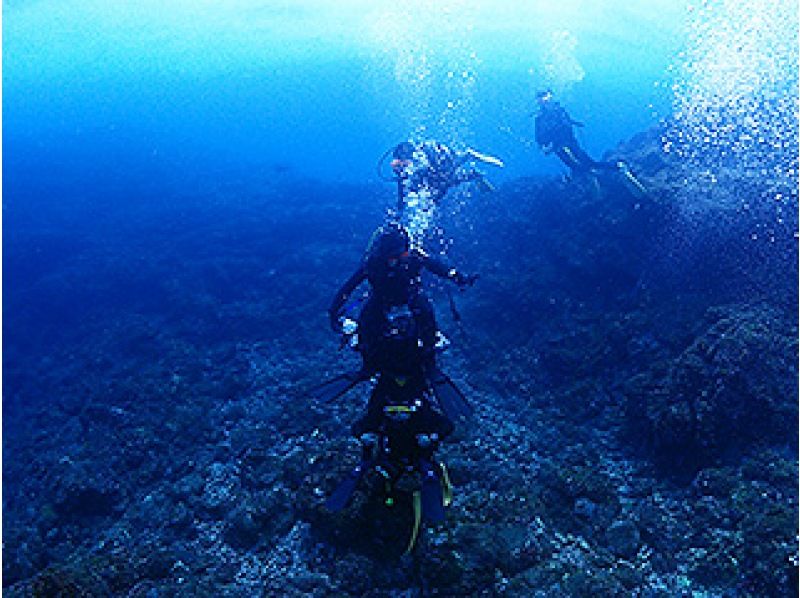 【無料送迎！土、日曜日/超お得！リゾートでダイビングを楽しみたい方】オープンウオーターダイバー＆アドバンスダイバーセットプランの紹介画像