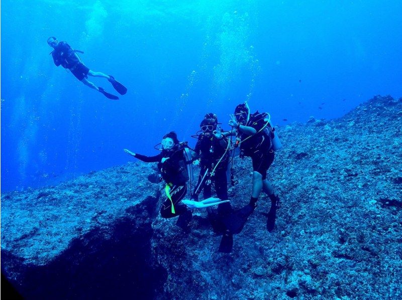 【無料送迎！土、日曜日/超お得！リゾートでダイビングを楽しみたい方】オープンウオーターダイバー＆アドバンスダイバーセットプランの紹介画像