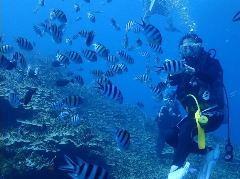 【無料送迎！土、日曜日/超お得！リゾートでダイビングを楽しみたい方】オープンウオーターダイバー＆アドバンスダイバーセットプランの紹介画像