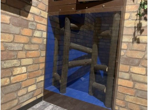 東京 秋葉原 アキバ初 レベル 絵本の世界からの脱出 謎解き初めての方におすすめ アクティビティジャパン 東京 秋葉原 アキバ初 レベル 絵本の世界からの脱出 謎解き初めての方におすすめ アクティビティジャパン