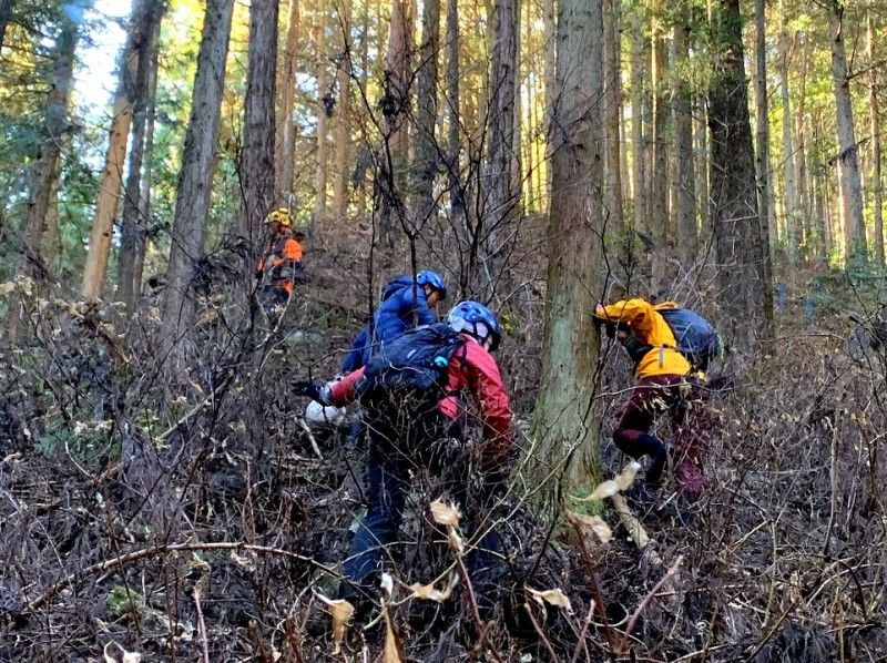 [Tokyo Ome] Mountain forest adventure! Mountain work 1 day tour (with local ingredients BBQ)の紹介画像