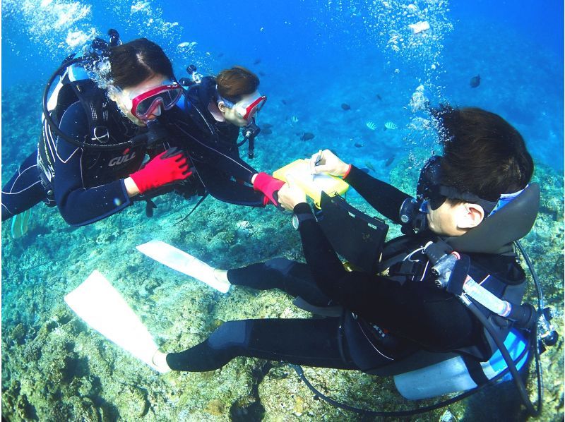 Student discount campaign underway! [High probability of going to the Blue Cave with experience diving] Private charter / Pick-up available / GoPro photography / Swimsuit rental / Female staff / No accidentsの紹介画像