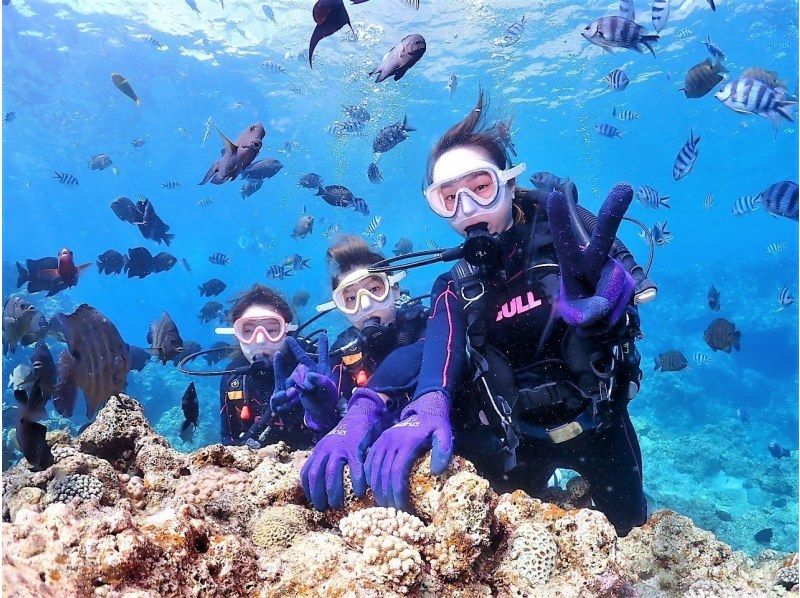 Student discount campaign underway! [High probability of going to the Blue Cave with experience diving] Private charter / Pick-up available / GoPro photography / Swimsuit rental / Female staff / No accidentsの紹介画像