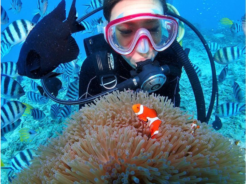 Student discount campaign underway! [High probability of going to the Blue Cave with experience diving] Private charter / Pick-up available / GoPro photography / Swimsuit rental / Female staff / No accidentsの紹介画像