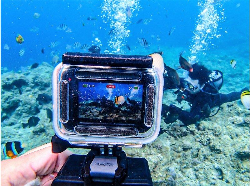 【高確率で「青の洞窟」に行ける体験ダイビング】ガイド貸切・GoPro撮影・餌付け体験・レンタル水着・タオル・送迎など全て無料！