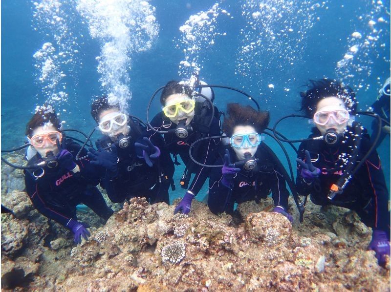 학생 할인 캠페인 실시중! 【고확률로 푸른 동굴에 갈 수 있는 체험 다이빙】 전세/송영 가능/GoPro 촬영/수영복 대여/여성 스태프/무사고の紹介画像