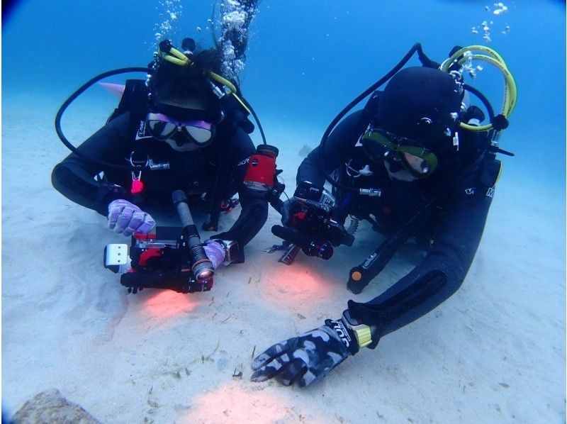 학생 할인 캠페인 실시중! 【고확률로 푸른 동굴에 갈 수 있는 체험 다이빙】 전세/송영 가능/GoPro 촬영/수영복 대여/여성 스태프/무사고の紹介画像