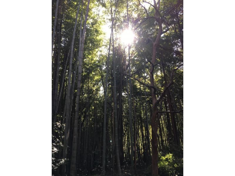 [Tawara Town, Nara Prefecture] Bamboo lantern making experience in about 30 minutes!の紹介画像