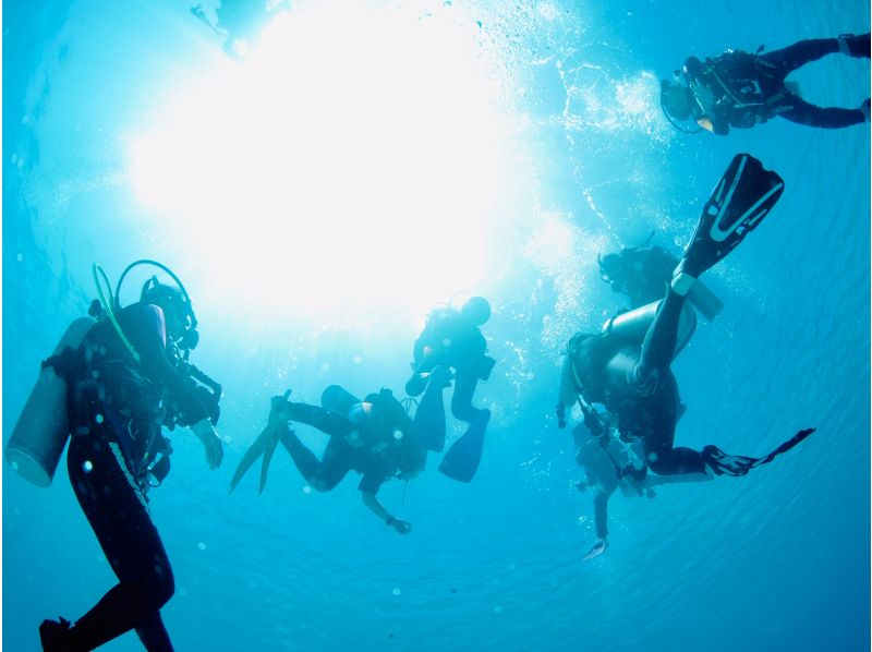 Osezaki diving tour popularity ranking & beginner recommended diving shop information